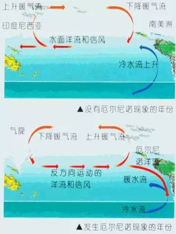 厄尔尼诺现象的详细分析