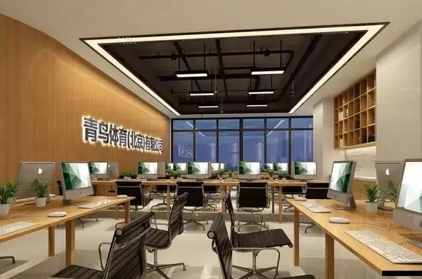 战略投资星洲健身！16年品牌跌宕，青鸟体育能否找到未来？