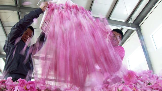 感人！老板贷款千万给花农盖别墅……自己年赚800万