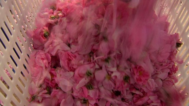 感人！老板贷款千万给花农盖别墅……自己年赚800万