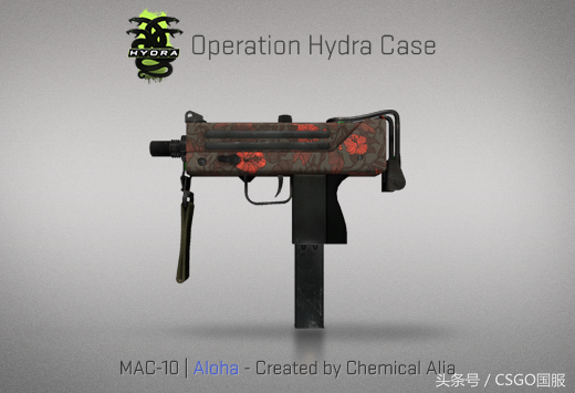 「CSGO九头蛇大行动」详细介绍与玩法知识解读 萌新快学学吧