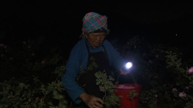 感人！老板贷款千万给花农盖别墅……自己年赚800万