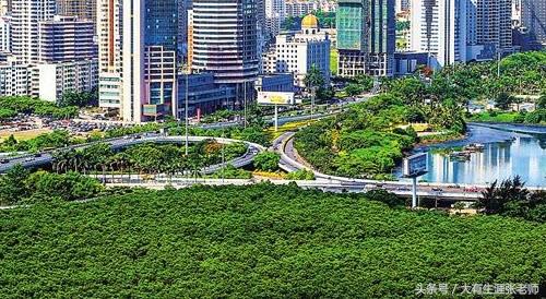 张老师17说高考第26期：专业解读——公共管理类