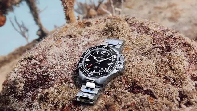 潜水表买了不会玩？那就白买了