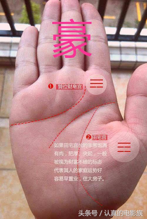 百年难遇富豪命的手相