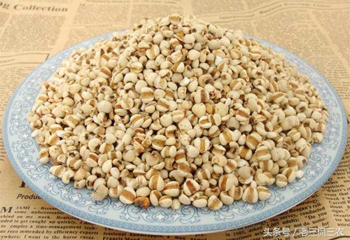 尿珠子的功效与作用及食用方法 -骁龙网