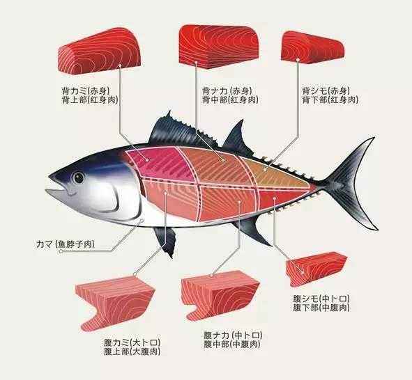 两岸称呼大不同——食品篇