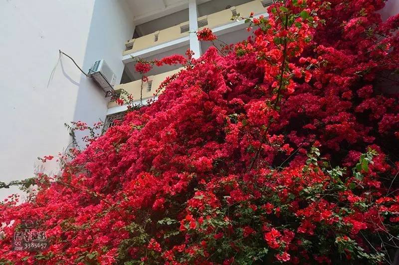 2017高考必胜！为上犹中学的学子们加油！