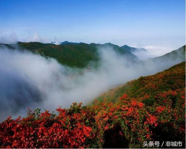 沉醉不知归路，醉美浏阳河，上篇