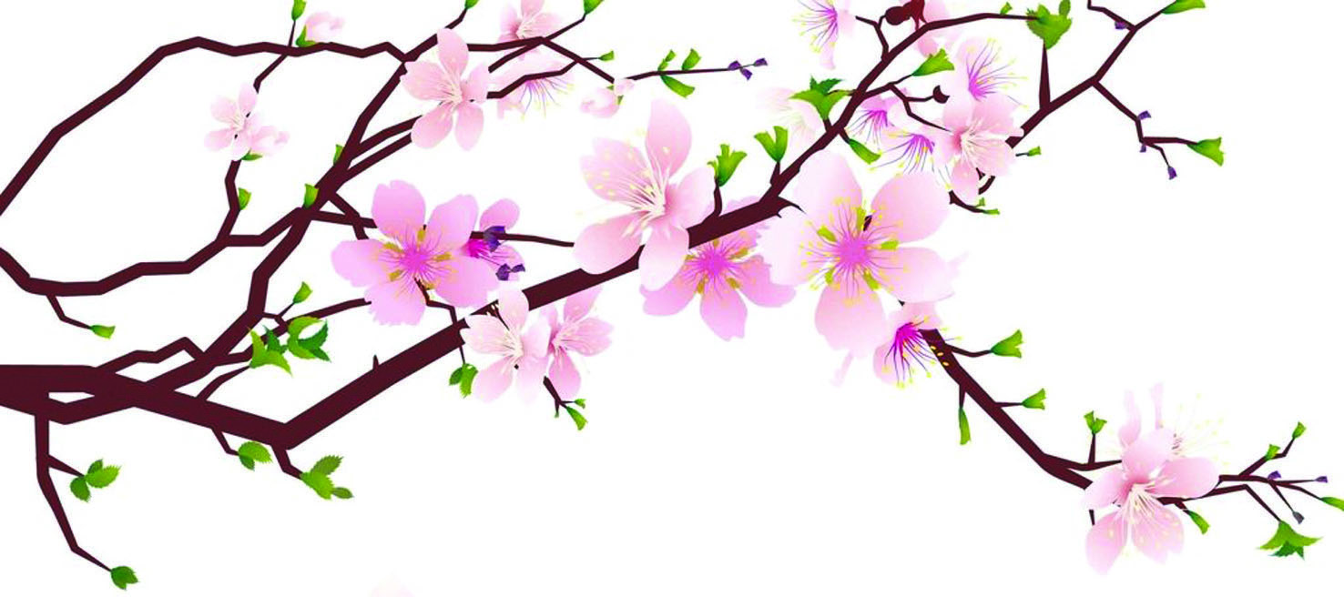 云浮部分中小学生作文选登（五）