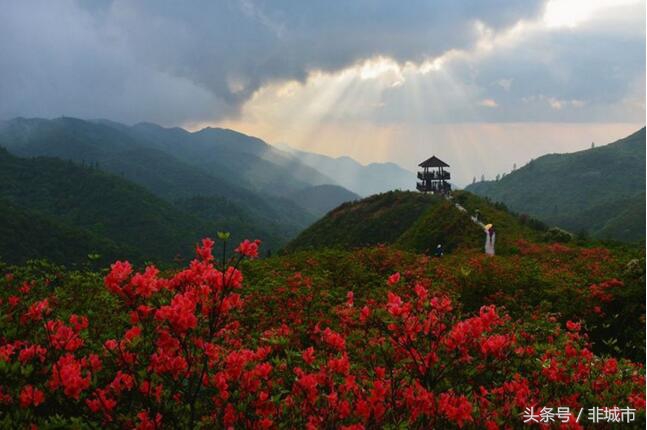 沉醉不知归路，醉美浏阳河，上篇