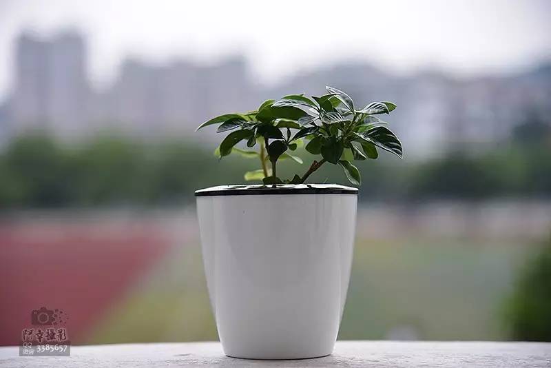 2017高考必胜！为上犹中学的学子们加油！