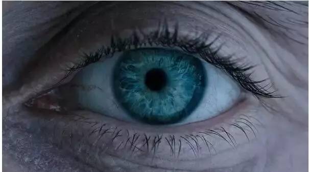 看懂《异形2》，读完这篇影评就可以了！