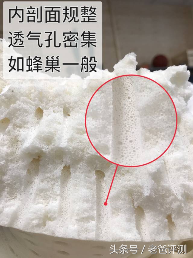 这位父亲花费3万元检测了6款乳胶枕，却揭开了整个行业的内幕