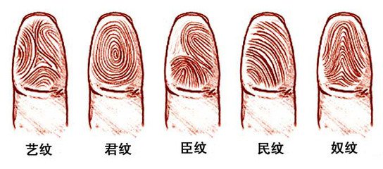 宝宝手指上有几个“斗”？“指纹与智商”的科学解释