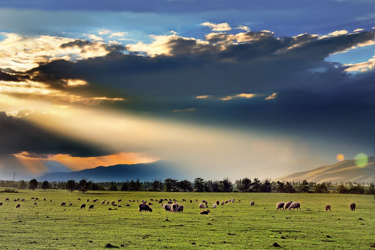 你知道那拉提是什么意思吗?那是一道宛如立体画卷般的风景长廊