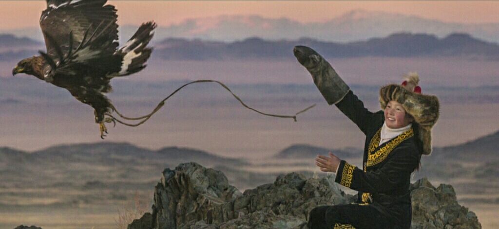 猎鹰少女电影剧情「介绍」 _晶羽科技