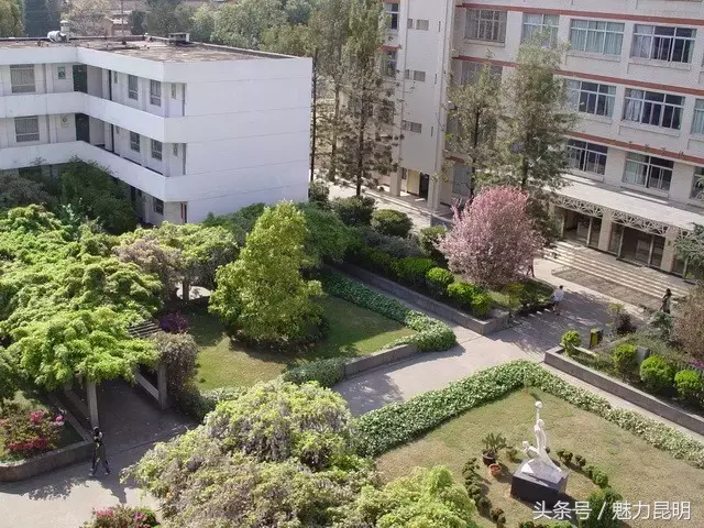 谢谢你，昆十四中！