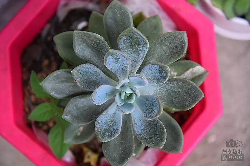 2017高考必胜！为上犹中学的学子们加油！