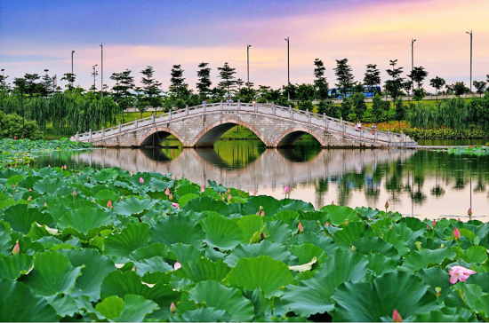 不想宅家又想消暑？清远周边，赏花戏水摘鲜果正适时