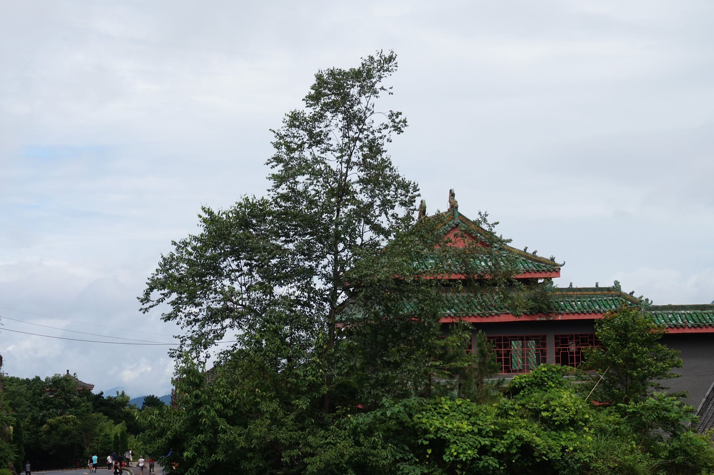 灵武长流水，一个跟五行八字同名的塞上生态旅游景区