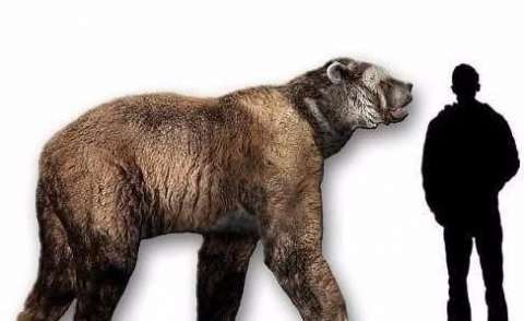 远古最强大的动物(史前十大最强悍的动物简介)