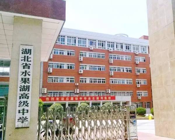 武汉这个区盛产王牌小学、初中、高中，想当学霸的来这里就对了！