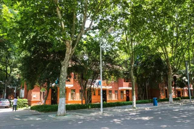 「权威时间」华中农大2017年普通本科招生章程发布