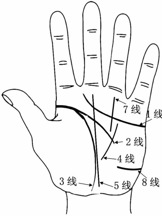 掌纹告诉你不知道的健康秘密（一）——生命线