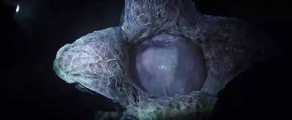 看懂《异形2》，读完这篇影评就可以了！