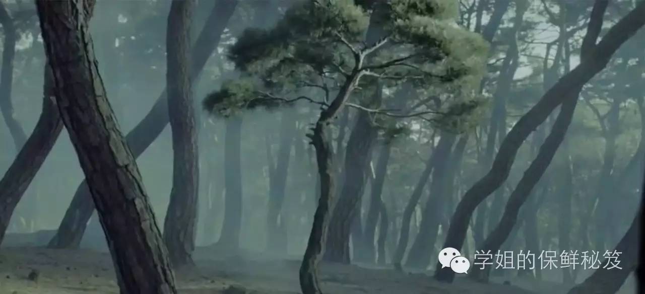 实测｜雪花秀那么贵真的好用吗？