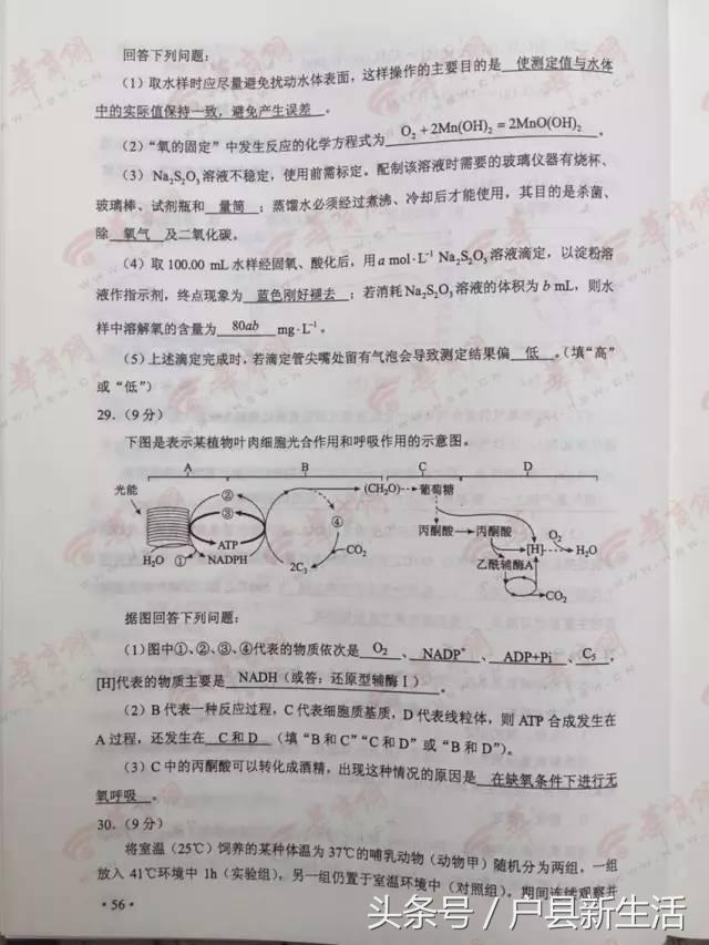 2017年陕西各科高考试题与答案的高清版，快来估分吧