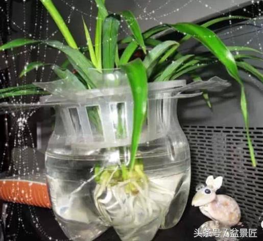 自制的塑料花盆，养花种菜比买的盆还爽