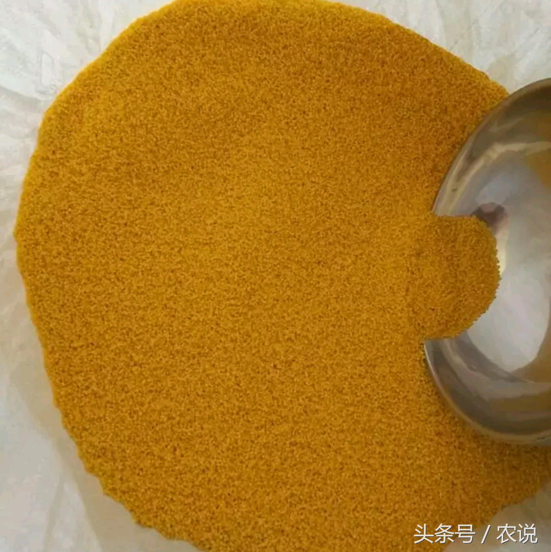 山西沁县小米少量供应，市场价一斤十块钱左右，揭秘生产地价格