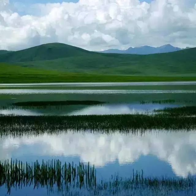 六月间，这些优美的诗词与青海的景色更配