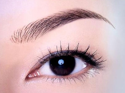 女人最招财的眉毛图片(女人最招财的眉毛图片 女人什么眉毛招财)