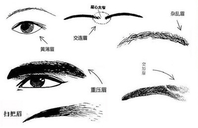 《脸上定乾坤》之——十二宫(1)