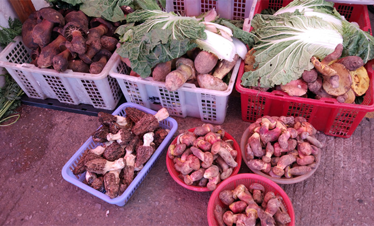 花一年时间找真红糖纪实（31）：昆明篆塘菜市场