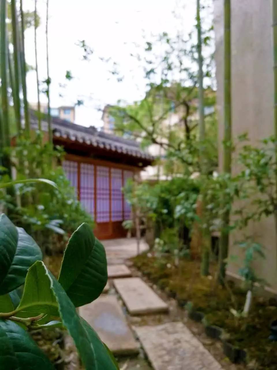 據說這家院子還不錯！西安曲江和園庭院景觀實景案例