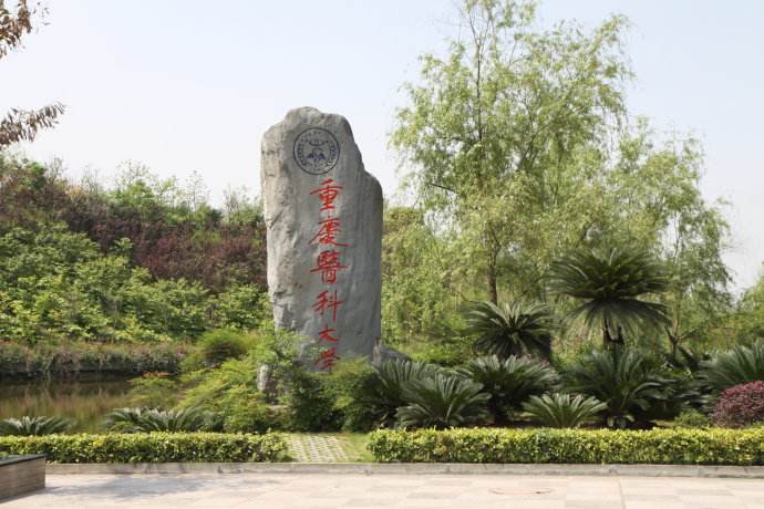 最新高考内参：重庆市大学排名-2017