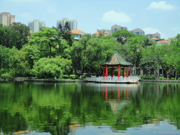 夏至未至热播，致敬的不仅是青春，还有青葱的校园风光