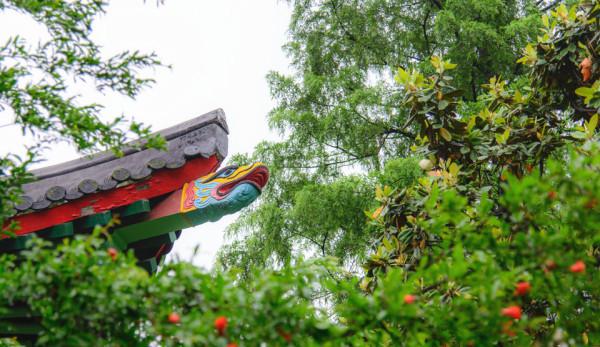 夏至未至热播，致敬的不仅是青春，还有青葱的校园风光