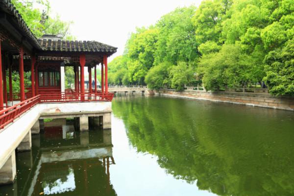 夏至未至热播，致敬的不仅是青春，还有青葱的校园风光