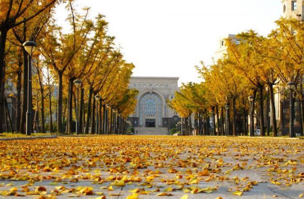 夏至未至热播，致敬的不仅是青春，还有青葱的校园风光