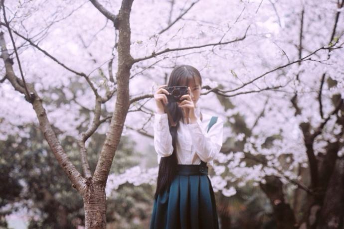 夏至未至热播，致敬的不仅是青春，还有青葱的校园风光