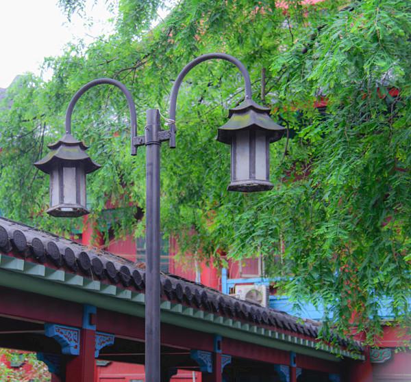 夏至未至热播，致敬的不仅是青春，还有青葱的校园风光