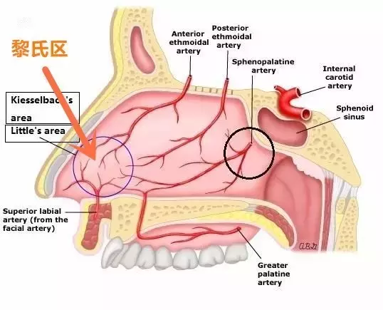 宝宝流鼻血,有这种症状一定要去医院!