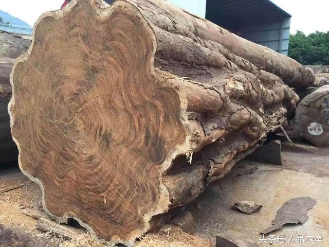 实木原木大板桌，是大自然的灾害，还是人类的福音？