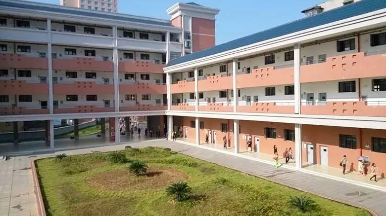 武汉这个区盛产王牌小学、初中、高中，想当学霸的来这里就对了！