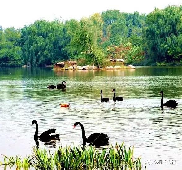 河南大学最特殊的一个学院，坐落于华夏龙都，今年起升为一本